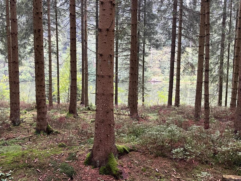 Apartament Gipfel Lounge Goslar Zewnętrze zdjęcie